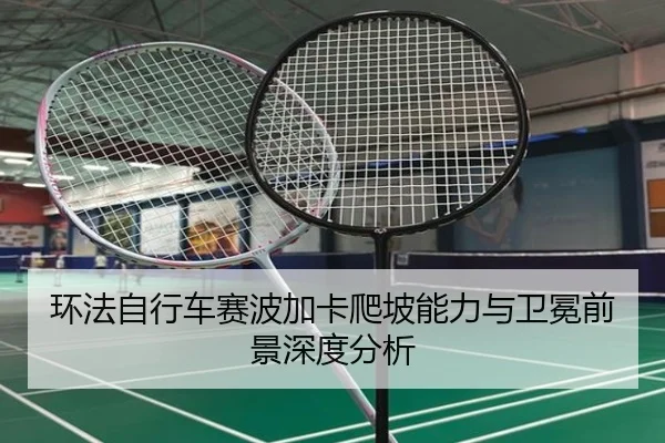 huan-fa-zi-xing-che-sai-bo-jia-ka-pa-po-neng-li-yu-wei-mian-qian-jing-shen-du-fen-xi-3-281.jpg