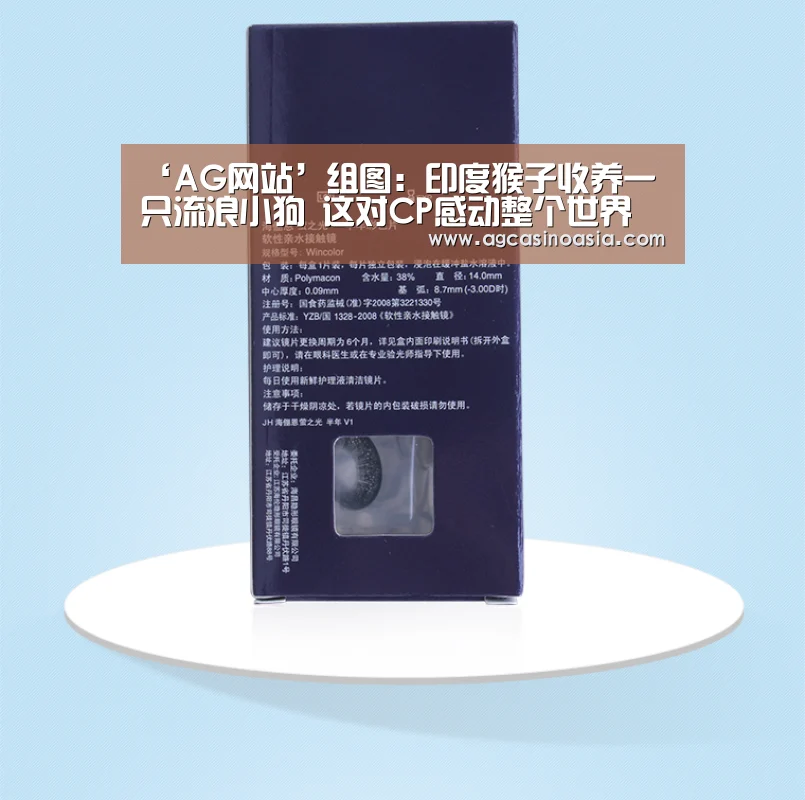 ‘AG网站’组图:印度猴子收养一只流浪小狗 这对CP感动整个世界(图2) AG网站